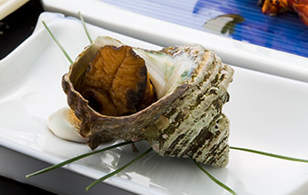 和風懐石 竹コース